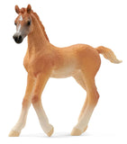 #13984S Arabian Foal