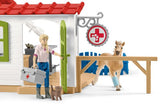 #42502S 1/20 Veterinarian Practice with Pets Playset