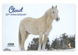 #B-TR-10306 1/9 Cloud, Wild Stallion of the Rockies 30th Anniversary Edition