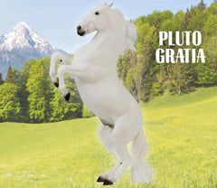 #B-TR-10667 1/9 Pluto Gravita - Lipizzan