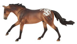 #B-TR-10807 1/9 Mr. Shining Gun, Appaloosa Buckskin Gelding