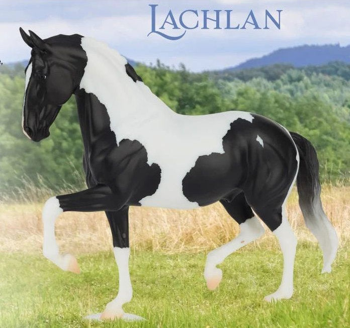 #B-TR-10823 1/9 Lachlan, Pinto Warmblood - 2026 Fall Brick & Mortar Edition