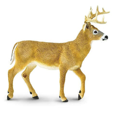 #113589 Whitetail Buck