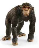 #14883S Chimpanzee