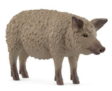 #14892S Mangalica Pig