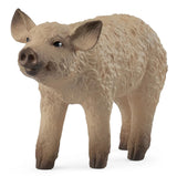 #14893S Mangalica Piglet