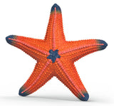 #14902S Starfish, Color Changing