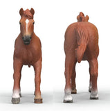 #14915S English Thoroughbred Stallion