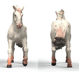 #14917S Knabstrupper Mare