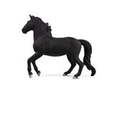 #14918S Lusitano Stallion