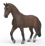 #14919S KWPN Gelding