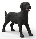 #14923S Black Labrador Retriever Female