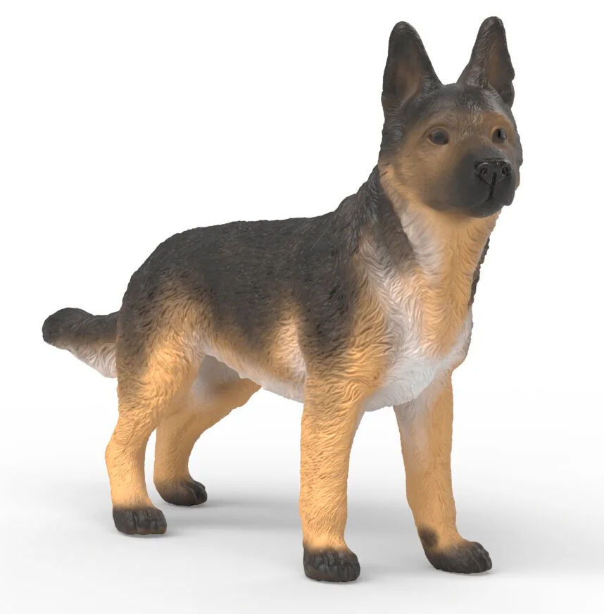 #14924S German Shepherd Female