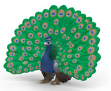#14926S Peacock