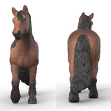 #14927S North Swedish Gold Blooded Mare