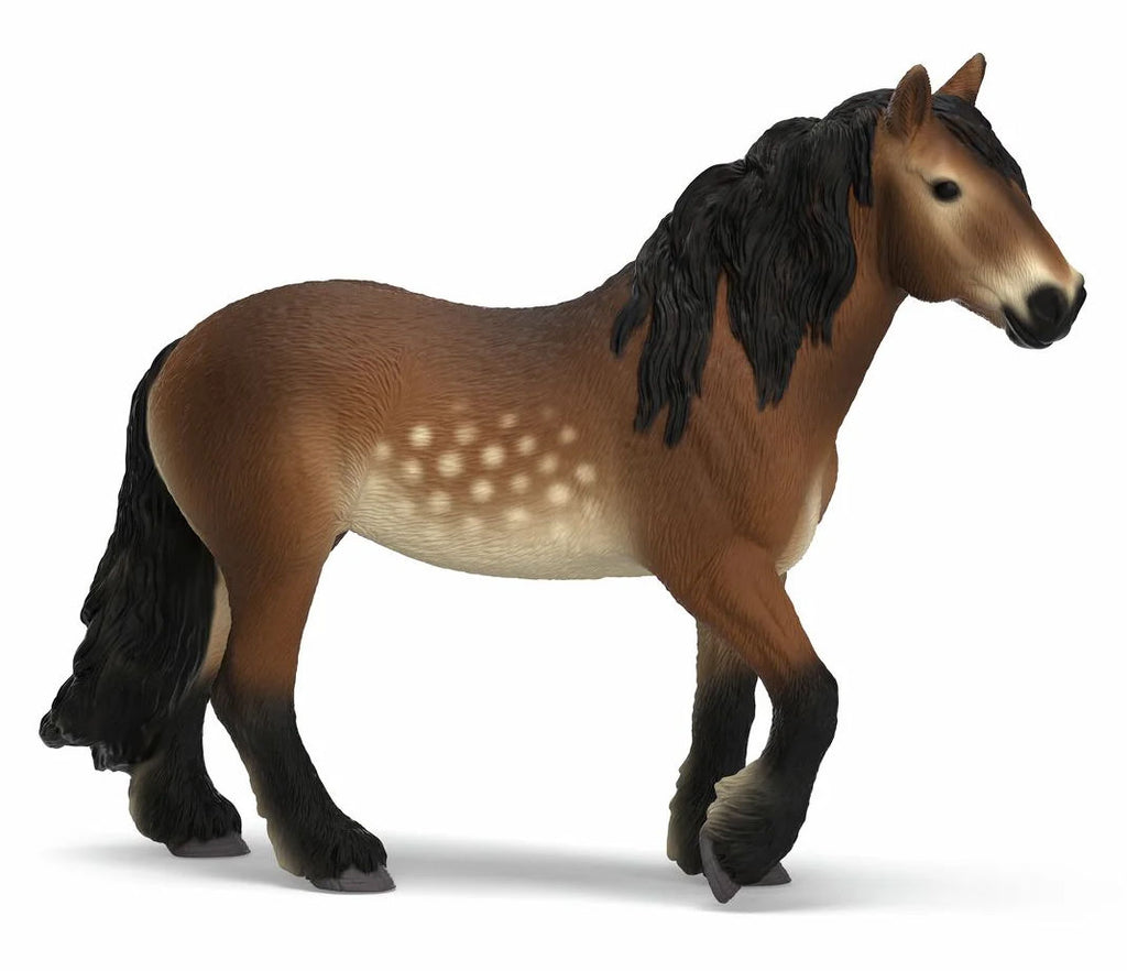 #14927S North Swedish Gold Blooded Mare