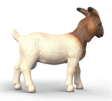 #14929S Boer Goat Doe