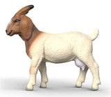 #14929S Boer Goat Doe