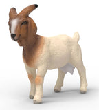 #14929S Boer Goat Doe