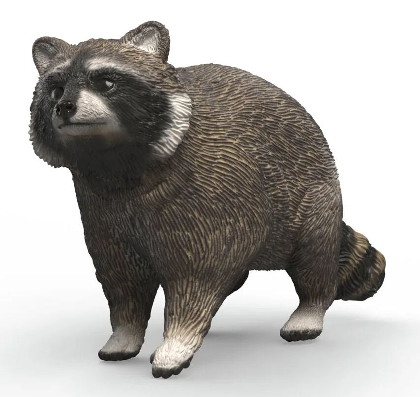 #14937S Raccoon