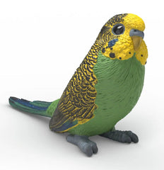 #14939S Budgie