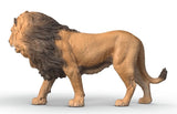 #14974S African Lion