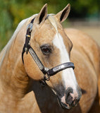 #1872 1/9 Ebony Shines & Charlize Palomino Quarter Horse Mare & Foal Set