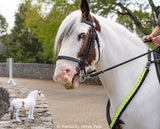 #1884 1/9 Legend, Kentucky Horse Park Mounted Police Horse