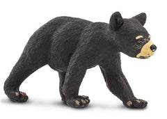 #273629 Black Bear Cub