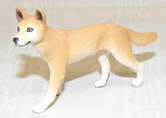 #42550B Dingo