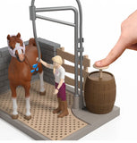 #42792 1/20 Sofia's Horse Wash Set