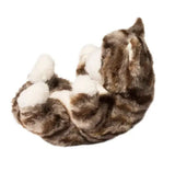 #4435D Lil' Baby Gray Stripe Kitten