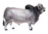 #500253 1/16 Gray Brahma Bull