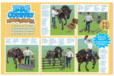 #525BC 1/20 Big Country Adventure Horse with Cowboy 20-pc Playset