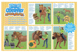 #526BC 1/20 Big Country Adventure Horse with Cowgirl 19-pc Playset