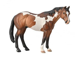 #88956 Paint Bay Overo Horse