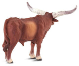 #100202 Watusi Bull