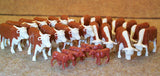 #12660B 1/64 Hereford Steers & Calves, 25 pc.