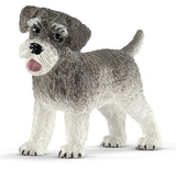 #13892 Miniature Schnauzer