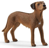 #13895 Rhodesian Ridgeback