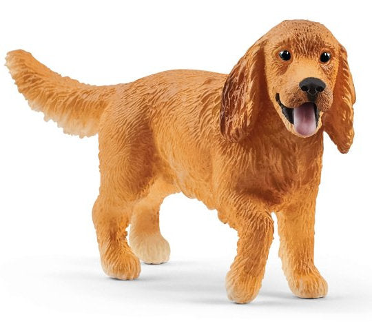 #13896S English Cocker Spaniel