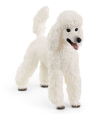 #13917S Poodle