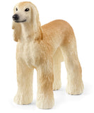 #13938S Afghan Hound