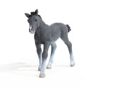 #13944S Trakehner Foal