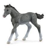 #13944S Trakehner Foal