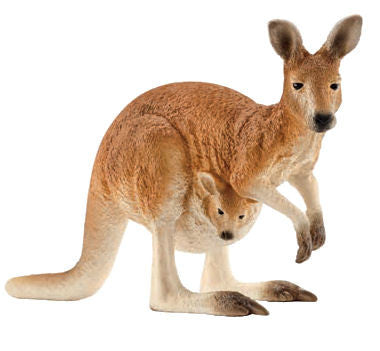 #14756 Kangaroo