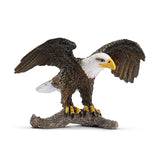 #14780 Bald Eagle