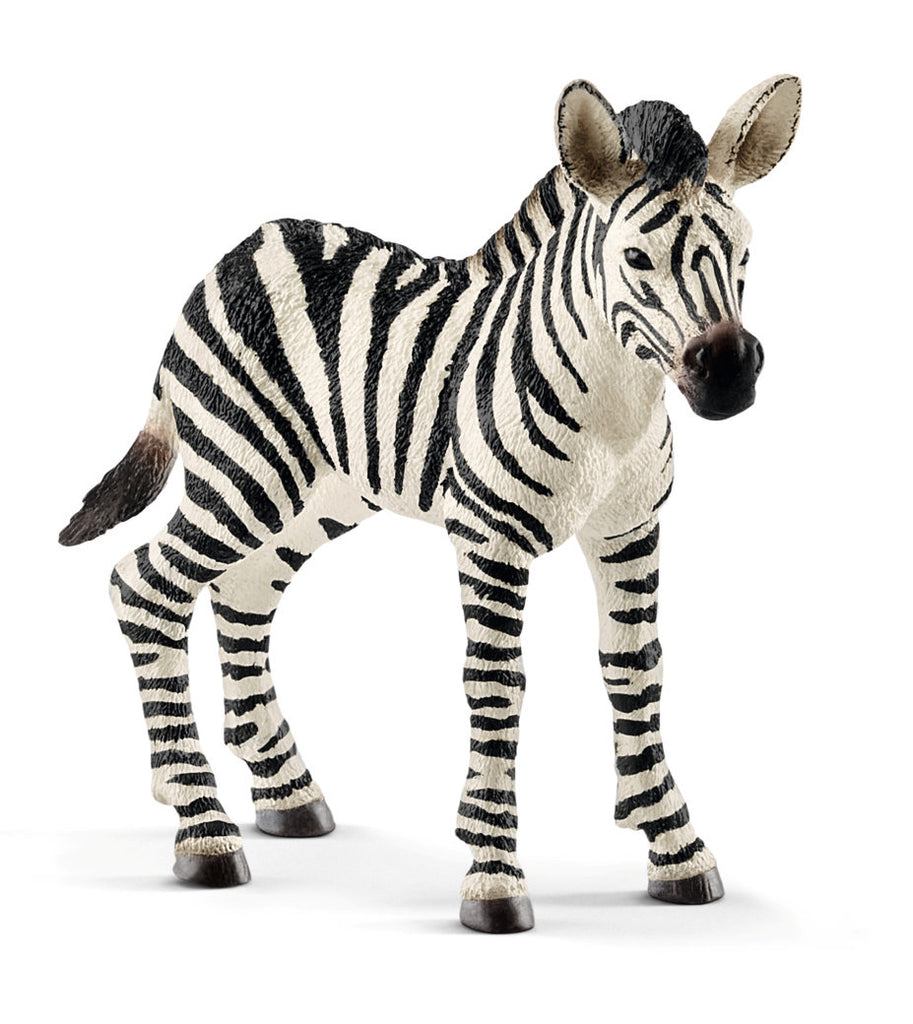 #14811 Zebra Foal