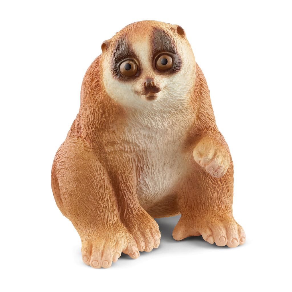 #14852S Slow Loris