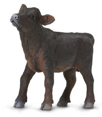 #160929 1/20 Black Angus Calf